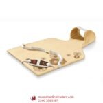 Beurer HL-58 Cosy Back and Neck Heating Pad