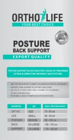 Ortholife Posture Back Support - Image 3
